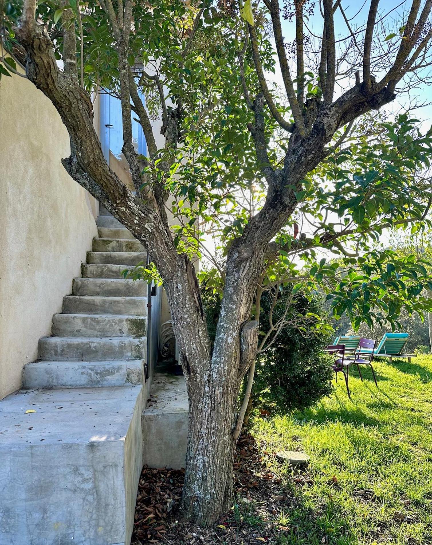 Domaine La Ferme Hi Bride Bed & Breakfast Villelaure Dış mekan fotoğraf